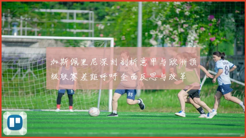 加斯佩里尼深刻剖析意甲与欧洲顶级联赛差距呼吁全面反思与改革