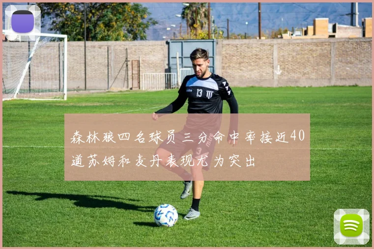 森林狼四名球员三分命中率接近40道苏姆和麦丹表现尤为突出